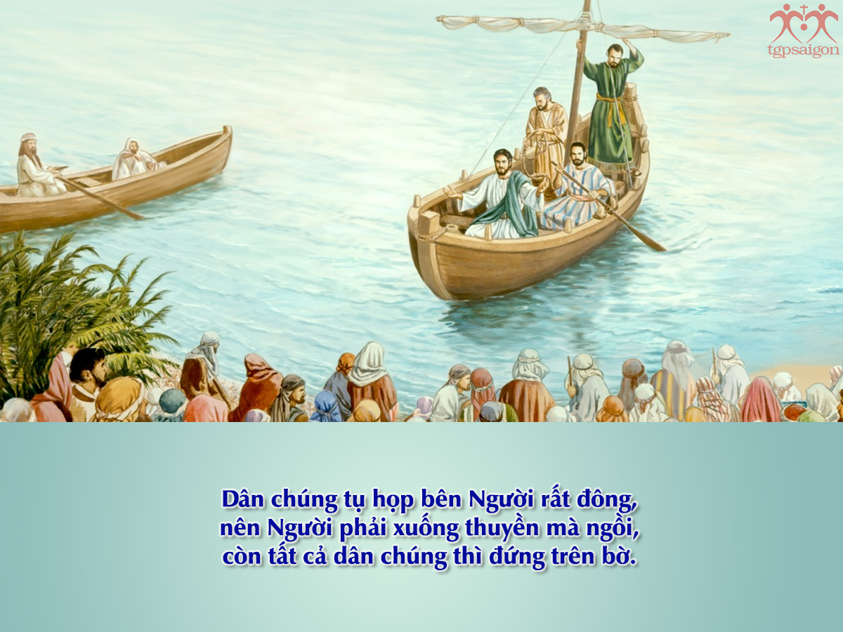 Hiệp sống Tin mừng: Chúa nhật 15 Thường niên năm A