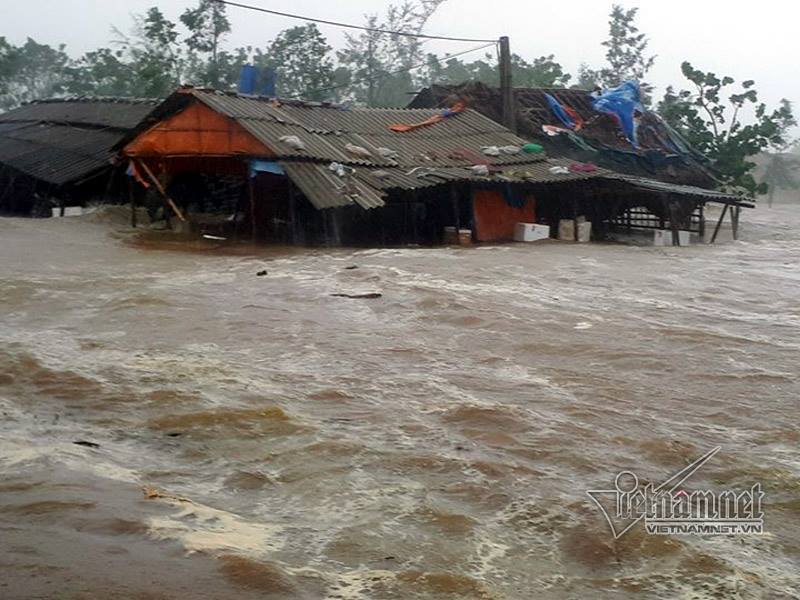 Chờ bão và tránh bão