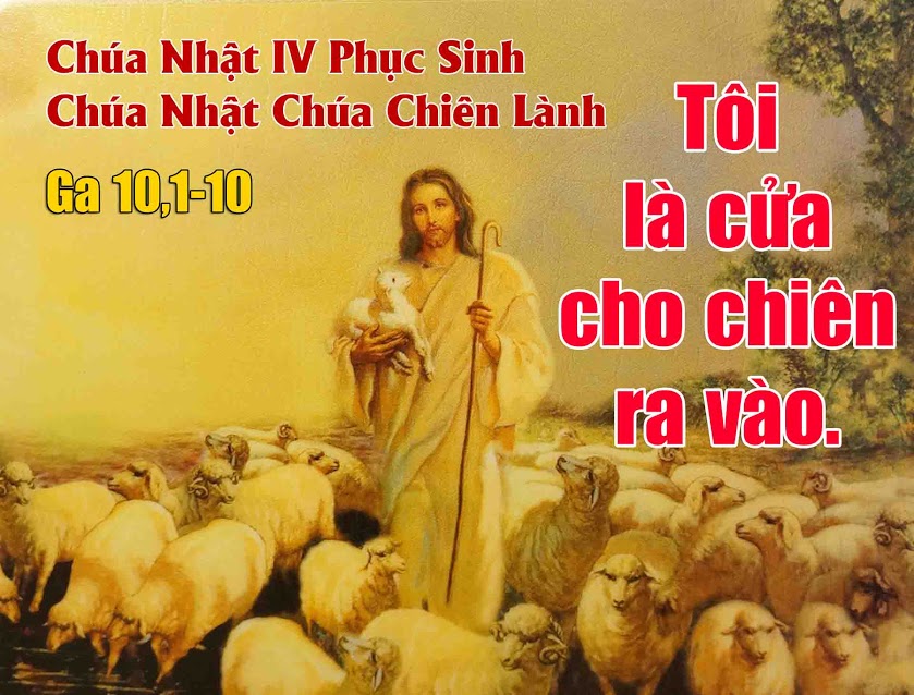 Bài giảng Chúa nhật: Chúa nhật 4 Phục sinh năm A